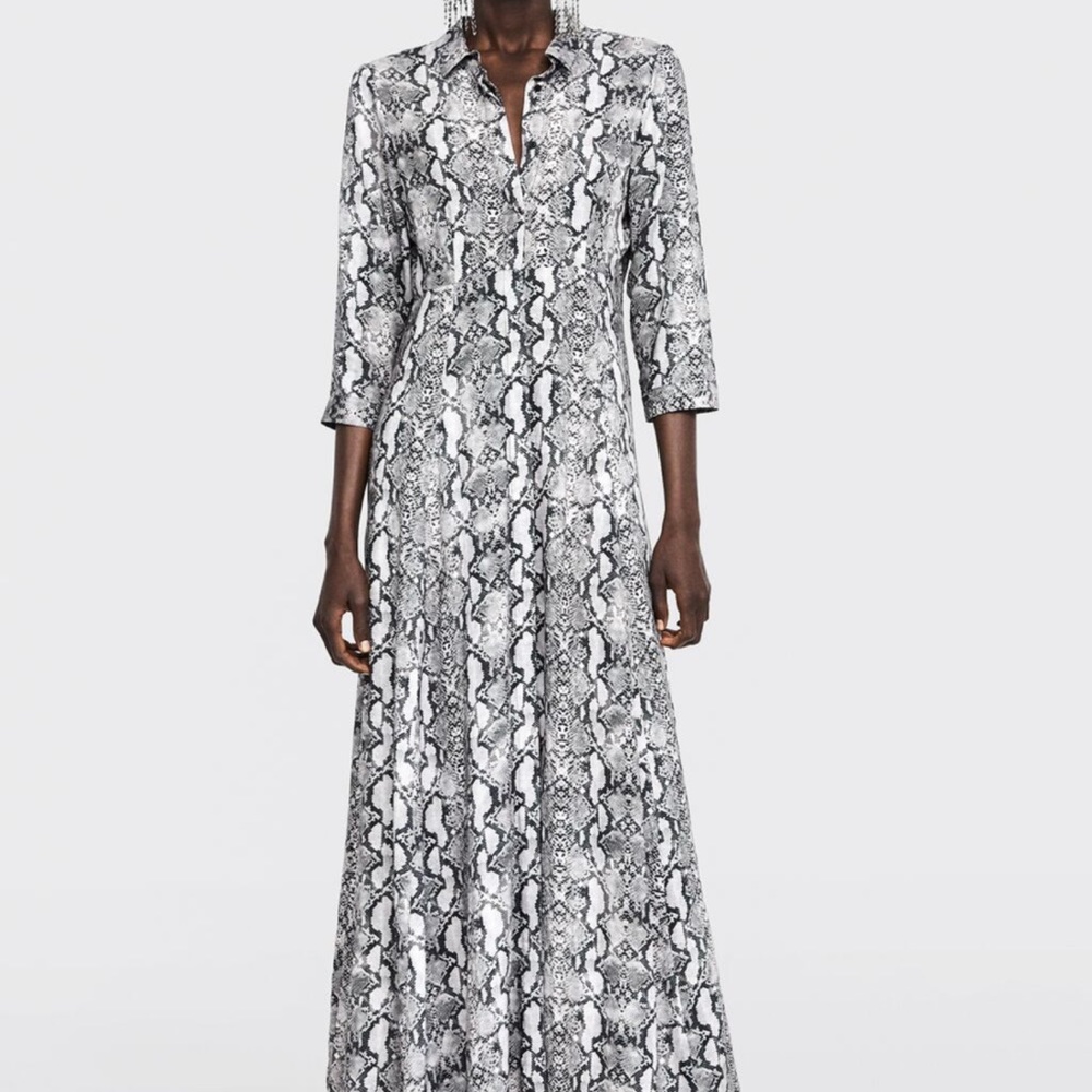 Zara dress